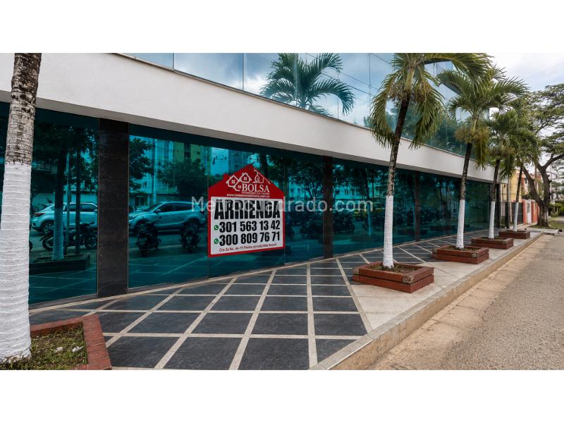 Local Comercial en Arriendo, Piedra Pintada Alta, Ibagué - Vista 4