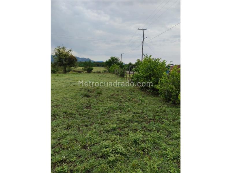 Lote en Venta, Rincon De Piedra Pintada, Ibagué - Vista 4