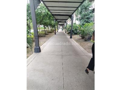 Apartamento de 3 alcobas en venta en La Samaria, Ibagué, 74 m² · foto 2 de 20