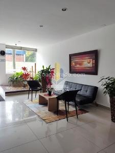 Apartaestudio en arriendo en Edificio Reserva De Cadiz, Ibagué, 35 m² · foto 14 de 19