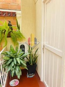 Apartamento de 3 alcobas en venta en Las Americas, Ibagué, 55 m² · foto 5 de 19