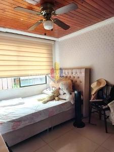 Casa de 3 alcobas en venta en Caminos De San Francisco, Ibagué, 100 m² · foto 12 de 19