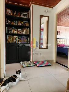 Casa de 3 alcobas en venta en Caminos De San Francisco, Ibagué, 100 m² · foto 5 de 19