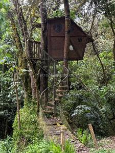 Casa de 3 alcobas en arriendo en Floresta De La Sabana Torca, Bogotá, 260 m² · foto 18 de 19
