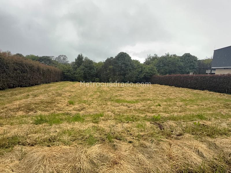 Lote en Venta, La Acuarela, Envigado - Vista 3