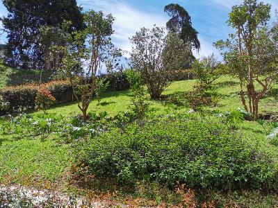 Apartamento de 1 alcoba en venta en San Antonio, Rionegro, 56 m² · foto 9 de 20