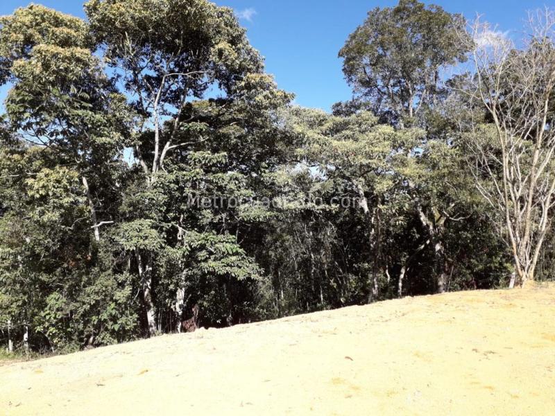 Lote en Venta, Varahonda, Rionegro - Vista 3