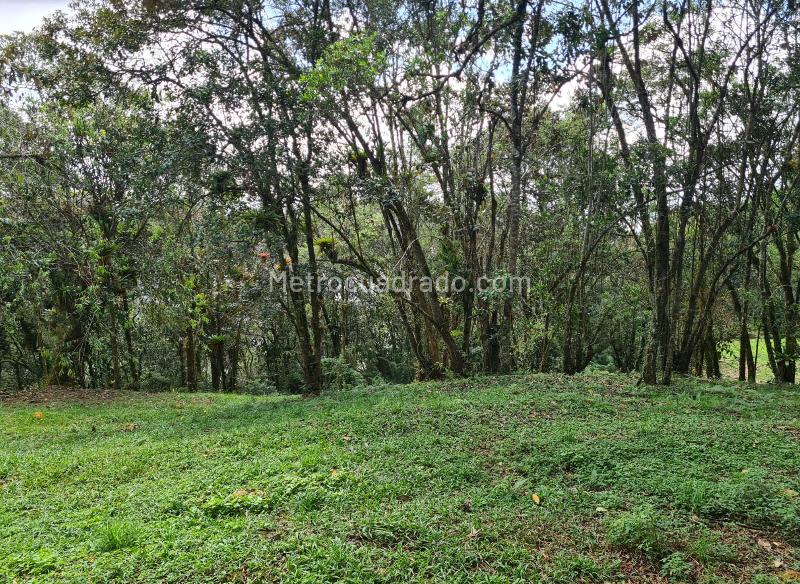 Lote en Venta, Variante Aeropuerto, Rionegro - Vista 2