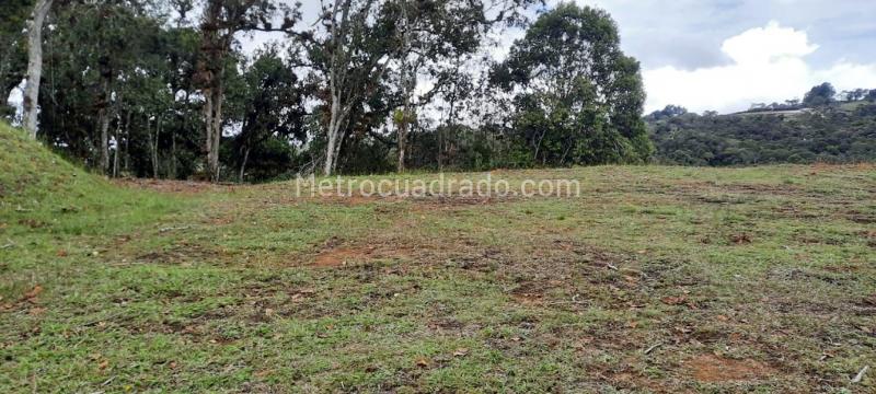 Lote en Venta, Variante Aeropuerto, Rionegro - Vista 4