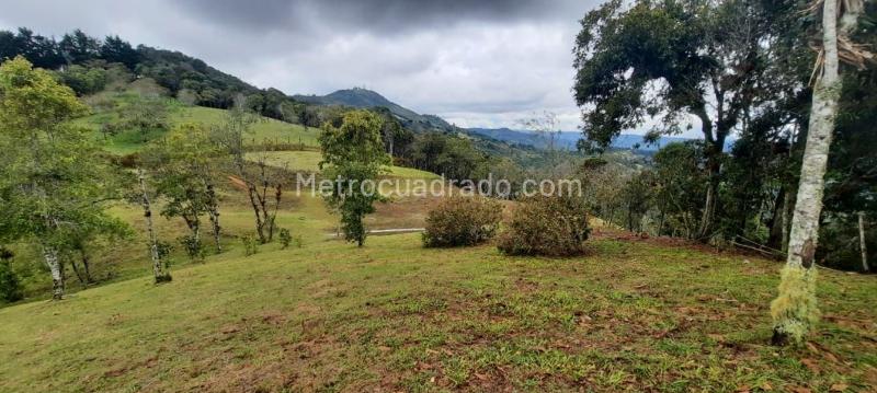 Lote en Venta, Variante Aeropuerto, Rionegro - Vista 5