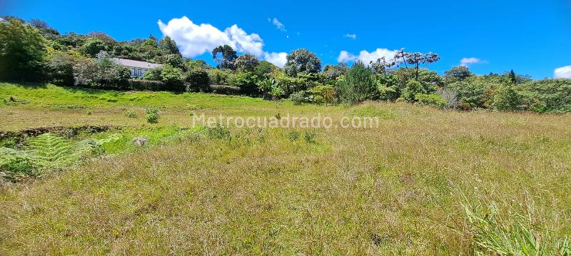 Lote en Venta, Alto De Palmas, Envigado - Vista 2