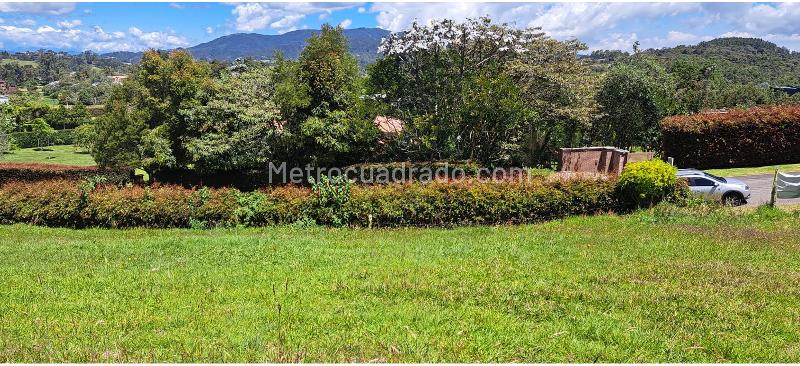 Lote en Venta, Alto De Palmas, Envigado - Vista 4