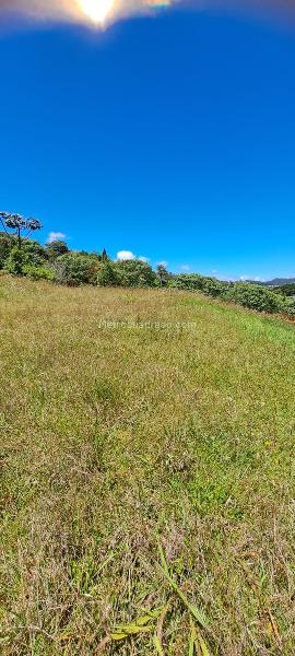 Lote en Venta, Alto De Palmas, Envigado - Vista 5