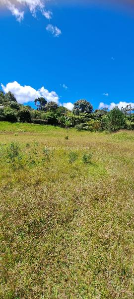 Lote en Venta, Alto De Palmas, Envigado - Más