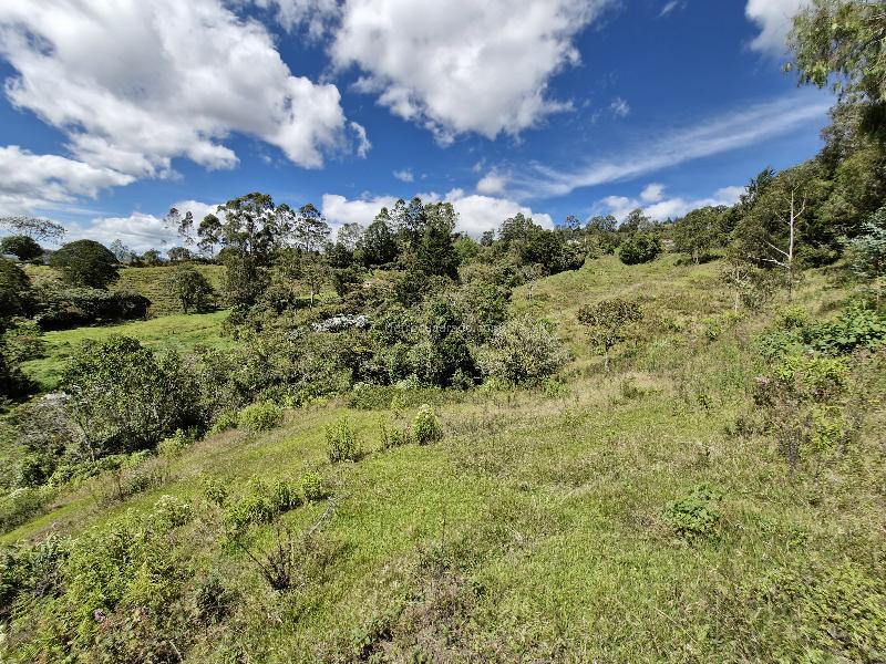 Lote en Venta, Vereda La Quiebra, Rionegro - Vista 3
