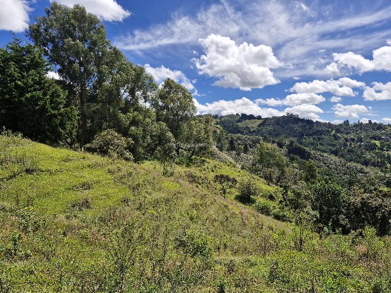 Lote en Venta, Vereda La Quiebra, Rionegro - Vista 4