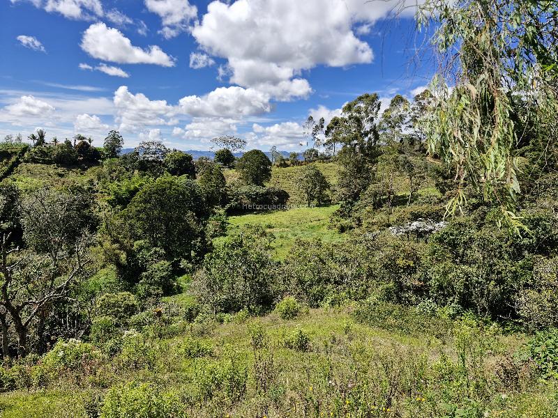 Lote en Venta, Vereda La Quiebra, Rionegro - Vista 5