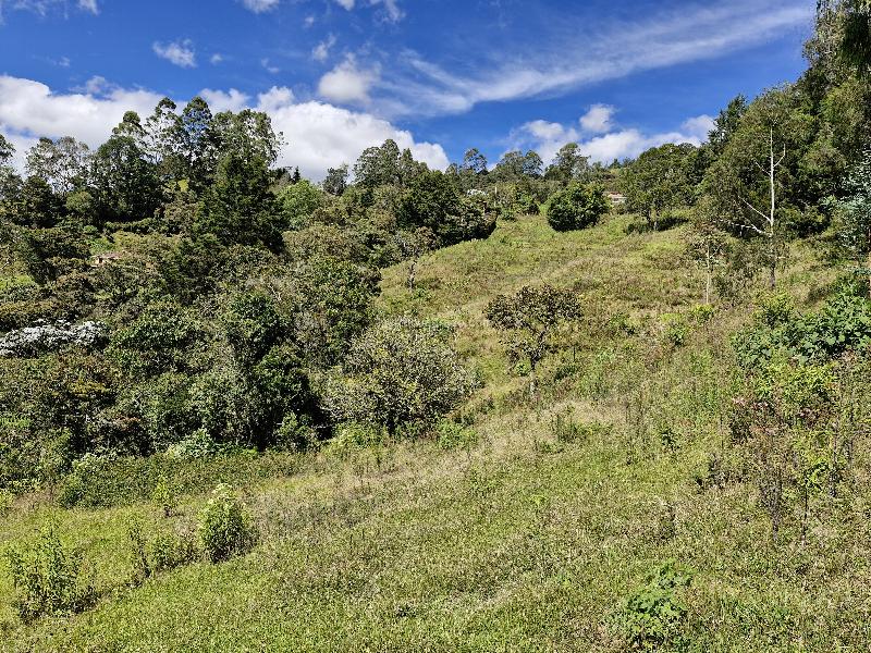 Lote en Venta, Vereda La Quiebra, Rionegro - Más