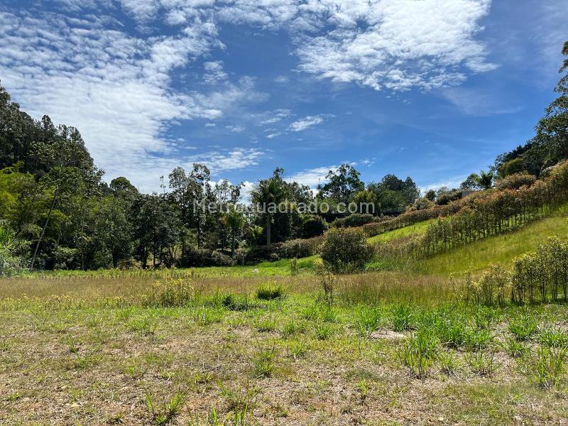 Lote en Venta, Guayabito, Rionegro - Vista 5