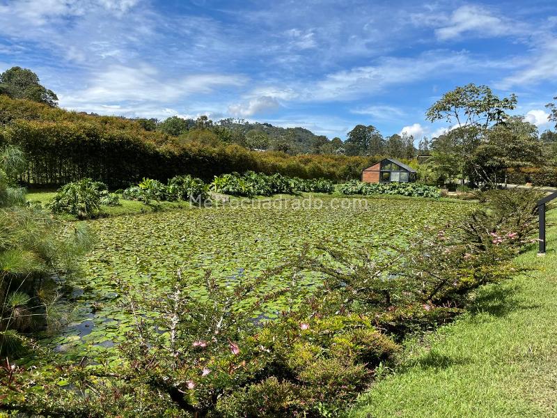 Lote en Venta, Guayabito, Rionegro - Más