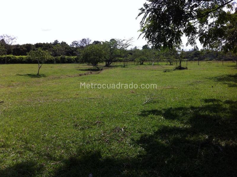 Lote en Venta, Pance, Cali - Vista 4