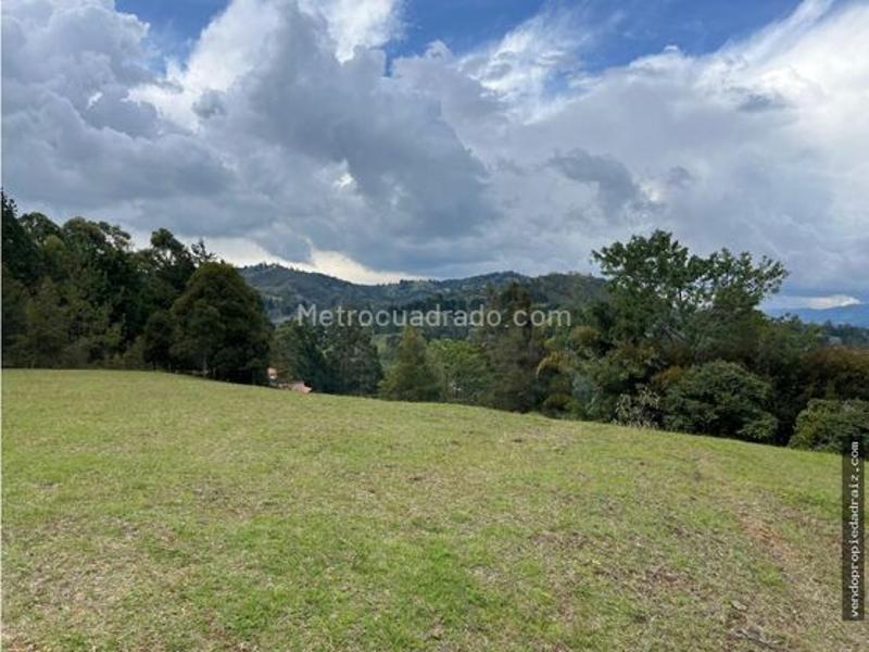 Lote en Venta, Sajonia, Rionegro - Vista 4