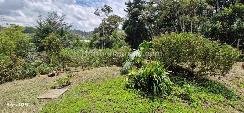 Lote en Venta, Convencion, Rionegro - Vista 3