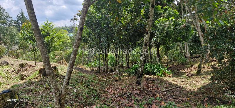 Lote en Venta, Convencion, Rionegro - Vista 4