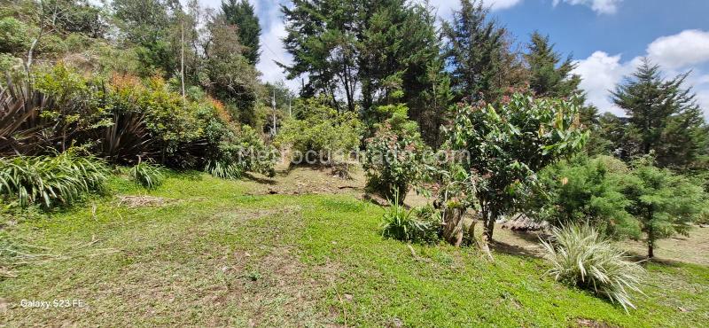 Lote en Venta, Convencion, Rionegro - Vista 5