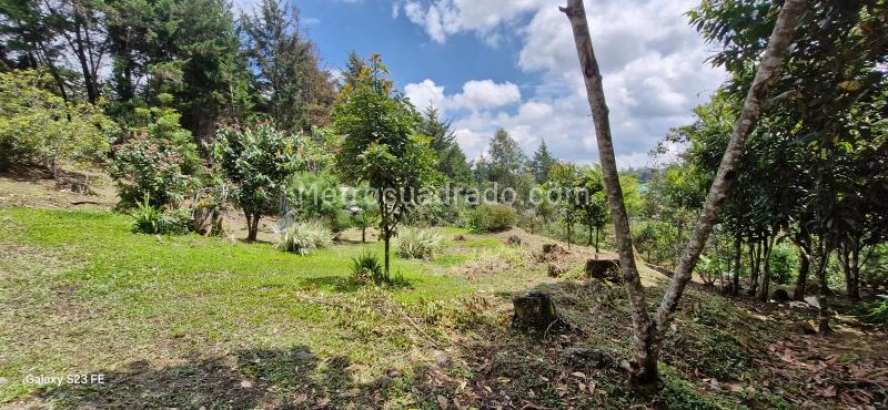 Lote en Venta, Convencion, Rionegro - Más