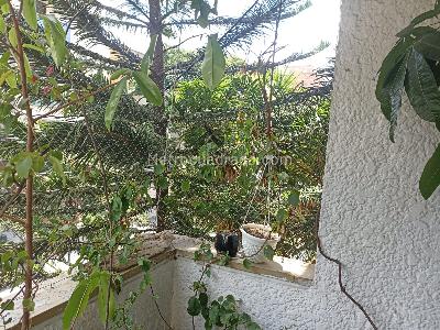 Apartamento en venta en Laureles, Medellín · foto 3 de 19