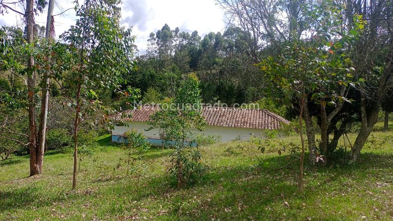 Lote en Venta, Vereda Santa Barbara, Rionegro - Vista 2