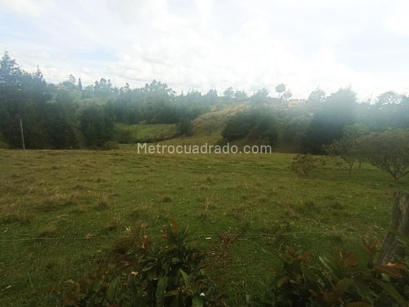 Lote en Venta, Vereda Santa Barbara, Rionegro - Vista 3