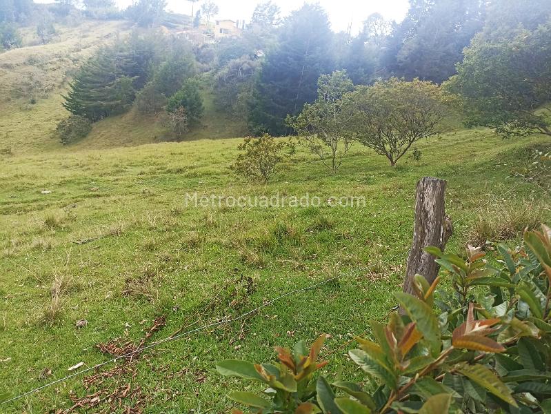 Lote en Venta, Vereda Santa Barbara, Rionegro - Más