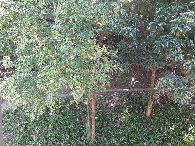 Apartamento en venta en Castropol, Medellín · foto 16 de 16