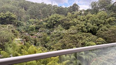 Apartamento en venta en El Poblado, Medellín · foto 7 de 20