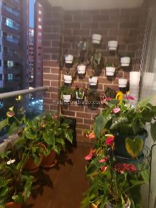 Apartamento en venta en Bosques De Zuñiga, Envigado · foto 12 de 20