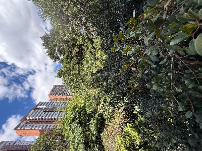 Apartamento de 4 alcobas en venta en El Poblado, Medellín, 126 m² · foto 4 de 20