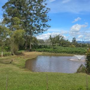 Casa de 4 alcobas en venta en Llanogrande, Rionegro, 540 m² · foto 10 de 20