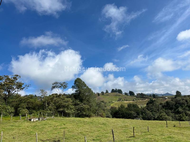 Lote en Venta, La Convencion, Rionegro - Vista 2