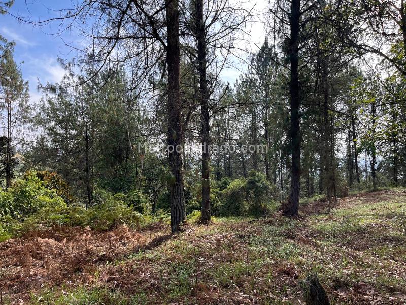 Lote en Venta, La Convencion, Rionegro - Vista 4