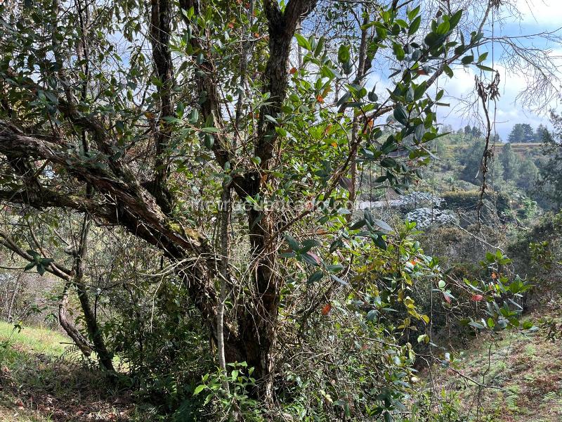 Lote en Venta, La Convencion, Rionegro - Más