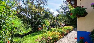 Casa de 3 alcobas en venta en Las Cuchillas, Rionegro · foto 6 de 20