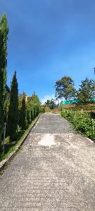 Casa de 4 alcobas en venta en Rionegro, Rionegro, 660 m² · foto 6 de 20