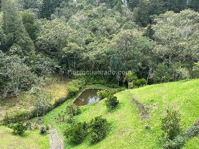Casa de 3 alcobas en venta en El Tablazo, Rionegro, 381 m² · foto 20 de 20