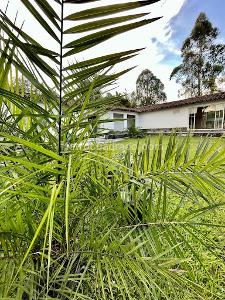 Casa de 3 alcobas en venta en San Antonio, Rionegro, 350 m² · foto 11 de 12