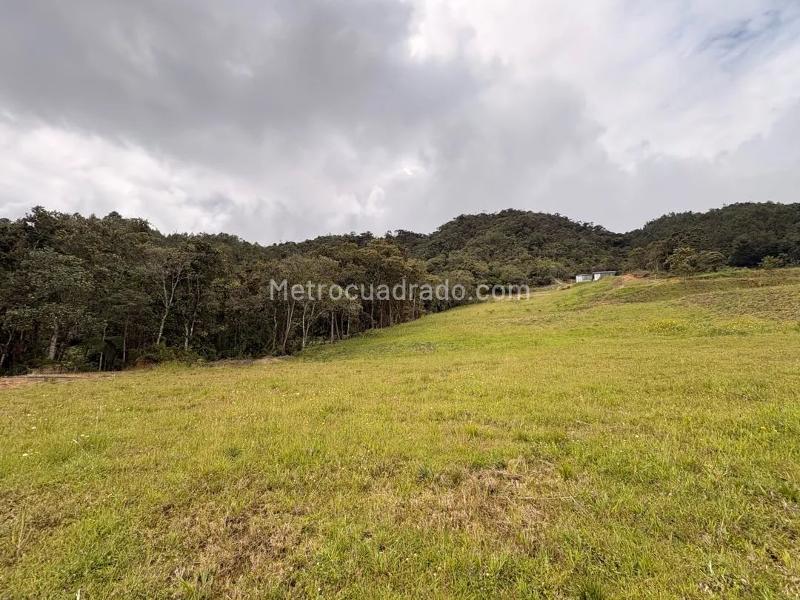 Lote en Venta, El Escobero, Envigado - Más