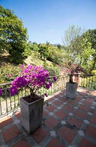 Casa de 4 alcobas en venta en Poblado Altos Del Poblado, Medellín, 330 m² · foto 17 de 19