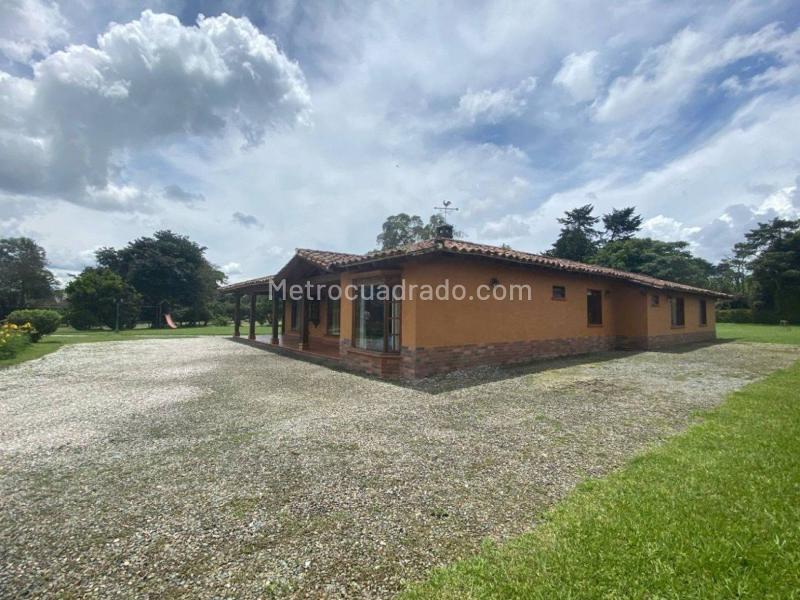 Local Comercial en Arriendo, Vereda Llano Grande, Rionegro - Vista 3
