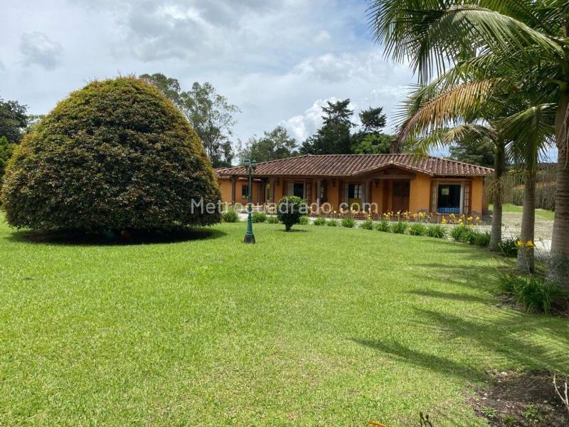 Local Comercial en Arriendo, Vereda Llano Grande, Rionegro - Vista 4